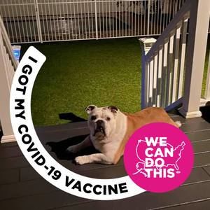 Meet your Posher, Rose